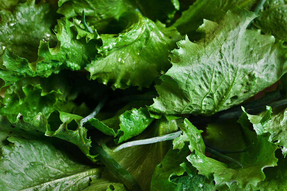 salad-leaf-leaves-green