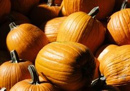 floating_pumpkin_patch_event